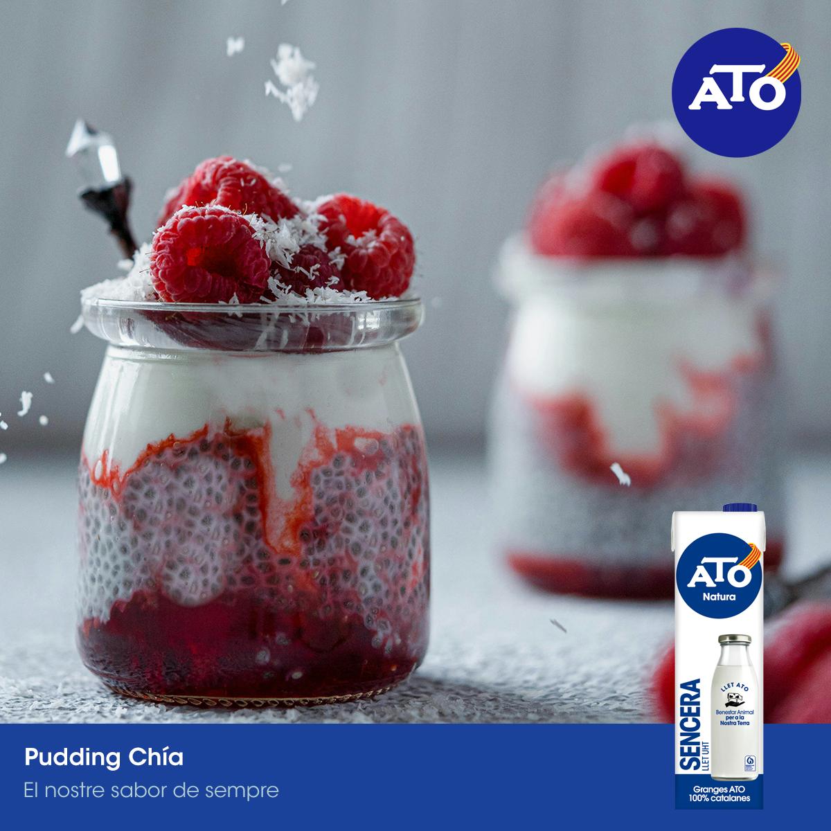 Pudding Chía - ATO Natura